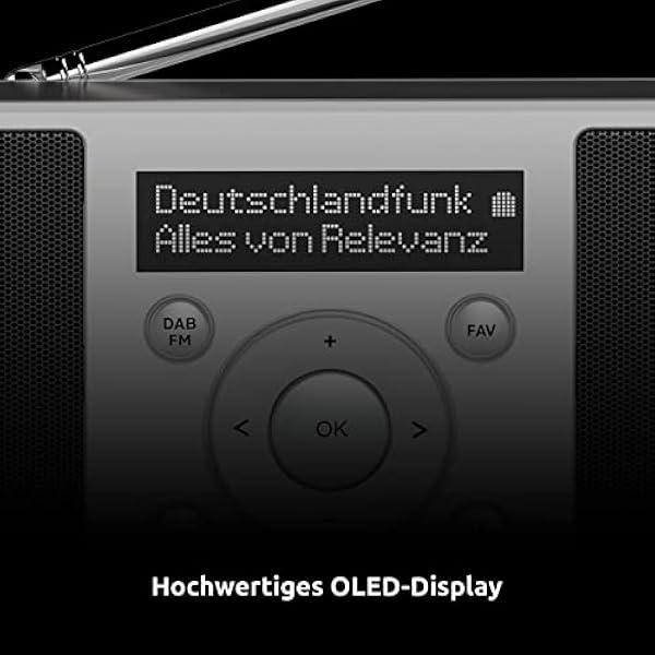 TechniSat DIGITRADIO 1 S - radio DAB stereo portatile con batteria ricaricabile (DAB , FM, FM, altoparlante, jack per cuffie, memoria preferiti, display OLED, 2 W RMS) argento/nero