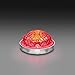 RoadWorks | Jewel Low Profile Watermelon Light Clear Lens and Red LEDs -1 Pc. | JWL1007
