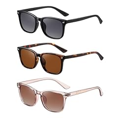 Transparent Brown + Black + Tortoise