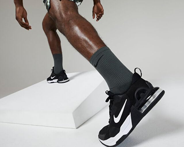 Image of Air Max Alpha Trainer 5 Workout Shoes