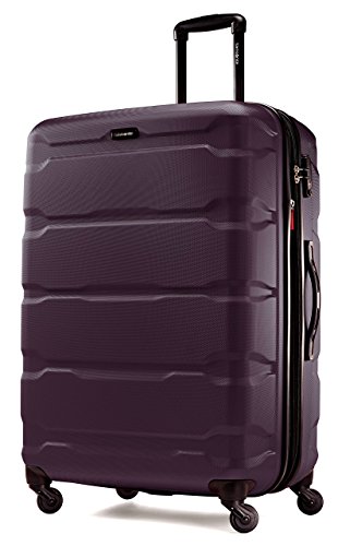 Image of Samsonite Omni Expandable Hardside Luggage with Spinner Wheels, Purple, 2-Piece Set (20 /28), 2-piece Set