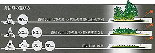Amazon | 草刈用 刈払刃 8枚刃 黒 SKS-5 255mm×1.4 10枚組 日本製