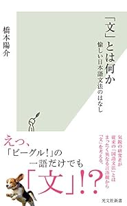 「文」とは何か~愉しい日本語文法のはなし~ (光文社新書)