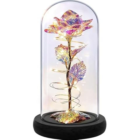 Norcalway Light Up Rose in Glass Dome - Beautiful Gifts for Women; Gifts for Mom, Wife, Grandma, Teacher ; Unique Gift for Birthday, Weeding, Anniversary Cover