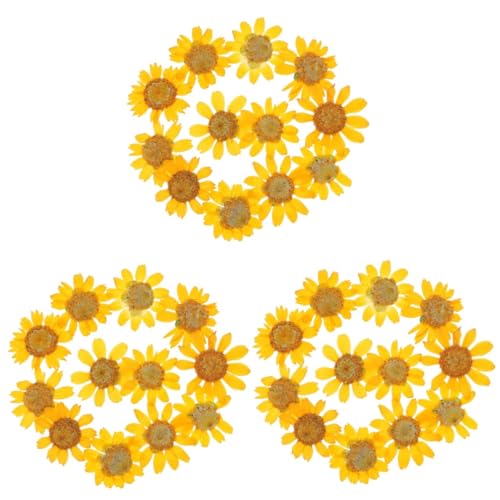 Flores prensadas naturales para manualidades 72 pcs miniatura 1