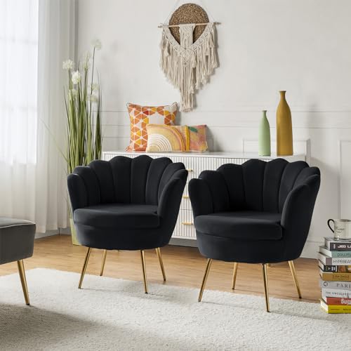 Image of HULALA HOME Modern Velvet Accent Chairs Set of 2 with Shell Shaped Back, Cute Living Room Bedroom Armchairs Sofa Chairs with Gold Legs, Comfy Upholstered Vanity Chairs for Makeup Room, Black