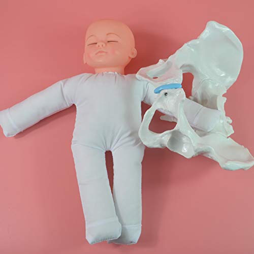 GHDE&MD Modèle D'accouchement Modèle De Formation De Sage-Femme, Wiht Female Bassin Et Bébé pour Enseignement De La Gynécologie Cover