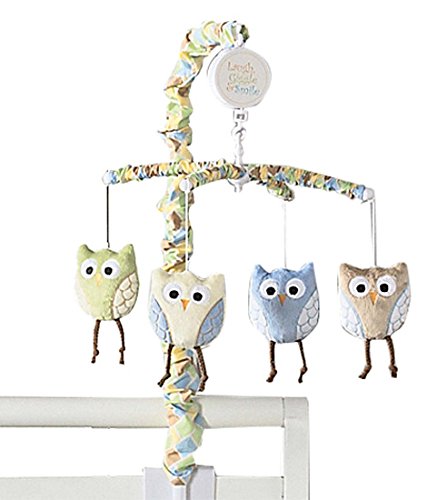 Laugh, Giggle & Smile Mod Owls Mobile