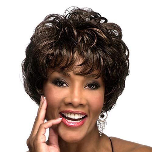 Women's Short Black Brown Wig Bobo Head Bob Style Stylish Curly Wavy Synthetic Heat Resistant As Real Human Hair Wigs