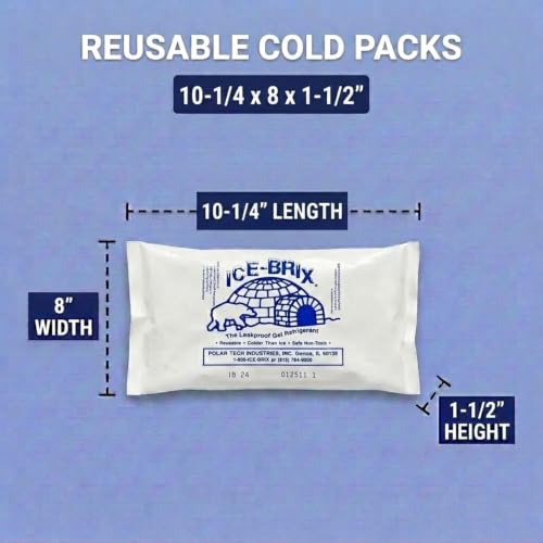 Image of ICE-BRIX Reusable Gel Ice Packs for Shipping, 10.25 x 8 x 1.5 in, 48 oz White (6 Pack) - Jumbo Cold Packs for Large Coolers, Frozen Food Shipping, Seafood, Meat & Perishables