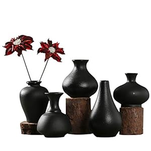 Kleine Schwarze Keramik Vasen 5er-Set, Mini Handmade Keramikvasen für Blumen Pampasgras Moderne Blumenvase Deko für Wohnzimmer Küche Büro Küche und Tisch