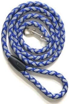 Dog Leash 6ft Reflective Strong Durable Rope Leash for Large Medium and Small Dogs Heavy Duty Running Training (Large, Blue)