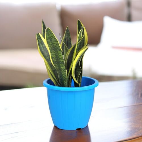 Image of Go Hooked Sunshine Flower Pot /Planters for Home Decor, Plastic Pots for Gardening /Home, Flower Pots Indoor-Outdoor & Planter for Plants (Blue) (Pack of 2)
