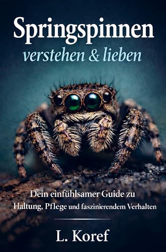 Springspinnen verstehen & lieben: Dein einfühlsamer Guide zu Haltung, Pflege und faszinierendem Verhalten
