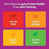 WHISKAS Nassfutter in Sauce für Katzen 84 x 85g Klassische Auswahl