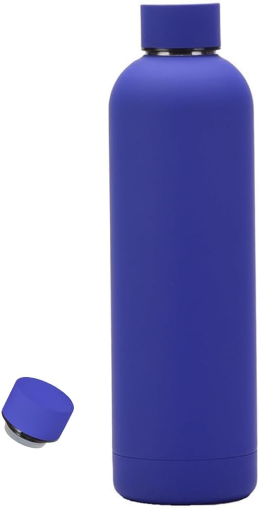 Stainless Steel Water Bottle (Navy Blue, 750ML)