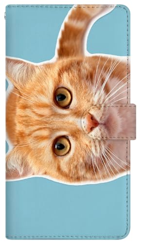 with NYAGO 蒠^ U[ P[X  ^Cv apple iPhone 16e (iPhone16e) p NYAGO m[g L[g Âڂ g L yyɂ`B 2936 zCY u[