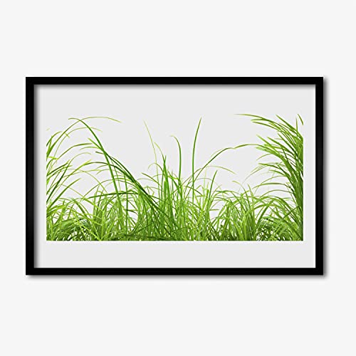Faune de plante d'herbe affiche encadrée 60x40 cm tableau cadre en MDF image murale salon