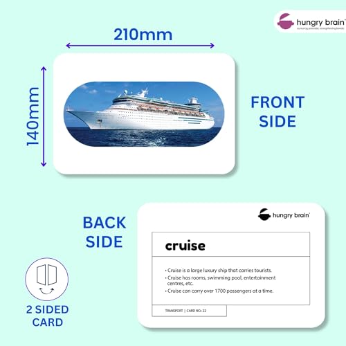 Image of Hungry Brain Transport Baby Flash Cards 3 Months+ | Montessori Learning Cards for Toddlers | Early Brain Development Toy | Improve Vocabulary, Memory & Cognitive Skills | Educational Gift for Kids