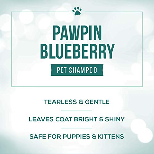 Image of Nature's Specialties Pawpin' Blueberry Ultra Concentrated Dog Face and Body Wash for Pets, Makes up to 2 Gallons, Natural Choice for Professional Groomers, Tearless Formula, Made in USA, 16 oz