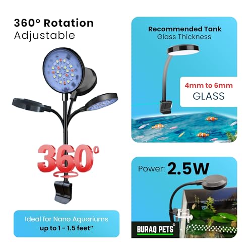 Image of BURAQ N6 Multicolor Aquarium LED Light 2.5W | WRGB Spectrum | 3 Lighting Modes | 360 Flexible Arm | Clip-On Lamp for Nano Fish Tanks & Bowls