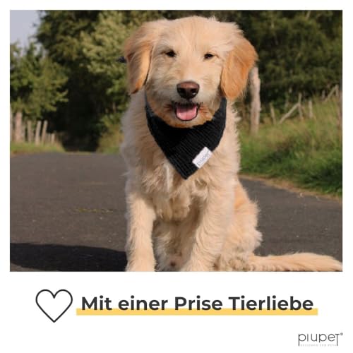 PiuPet® Hundehalstuch I 2er Set Hundehalstücher I Hundehalstuch große Hunde I Halstuch Hund I Stylisches Bandana große & kleine Hunde | Hundebekleidung & Zubehör I Schwarz/Grün | (S) 58x40x40cm