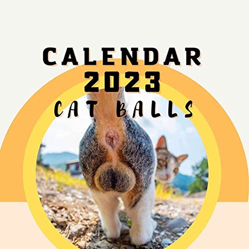list-of-10-best-cat-ball-calendar-2023-reviews