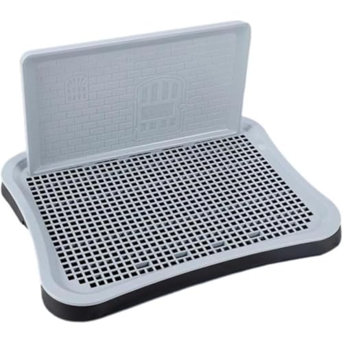 REENEW 2024N̐VX^C gC  gCg[ ybggC ybgg[^gC gC Ch pgC |ȒP R }[LO|[tgC g[ gCg[ t`t ~ g[jO  b