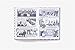Drawing the Vote: An Illustrated Guide to Voting in America