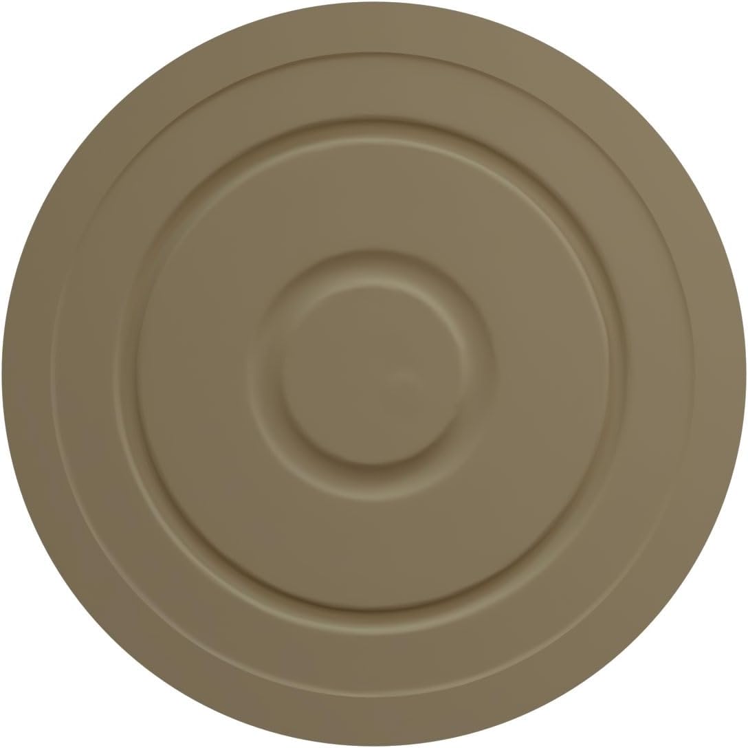 Ekena Millwork CM24REWSS 24-3/8" x 1-1/8" Traditional Reece Ceiling Medallion, Warm Silver