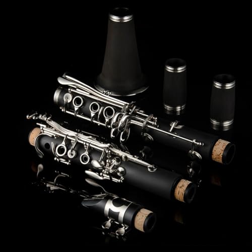 Clarinette débutant : instrument de musique pour apprendre et progresser