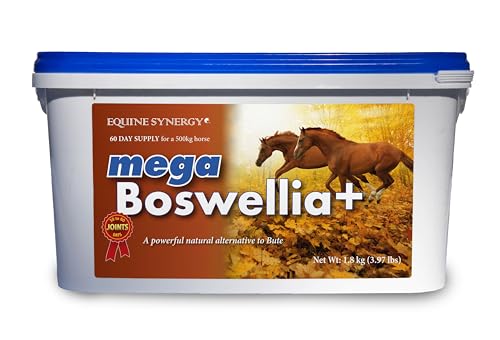 Equine Synergy MEGA BOSWELLIA + To Maintain Healthy Joints that are Free of Pain and Stiffness (1.8 Kg)