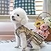 PUPTECK Classic Plaid Dog Dress Cute Puppy Clothes Outfit Small