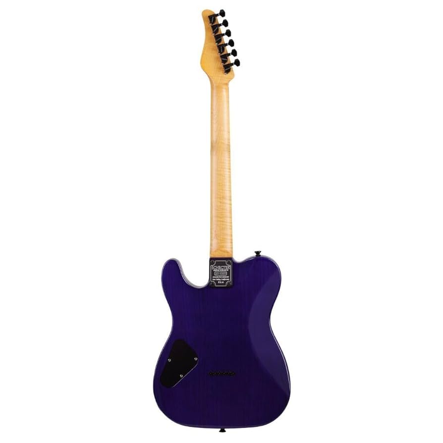 Amazon.com: Schecter PT Classic Electric Guitar - Purple