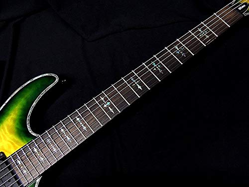 Amazon.co.jp: Schecter AD-C-1-HR/P/DGB Schecter Hellrazor