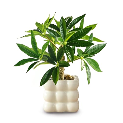 G} tFCNO[ ~jϗtA MъϗtA ̂Ȃ؃Z~bNގp^  ϗtA tFCN t ȃCeAG bsv sv ցEItBXEz[EzeɍœK Mtgɂ j