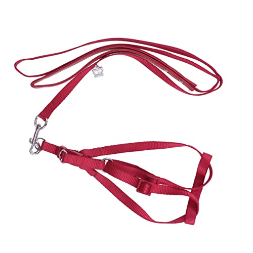 Abaodam Adjustable Parrot Harness with Leash for Outdoor Walking Red Design Easy Installation Parrot Accessories for