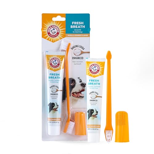 Image of Arm & Hammer for Pets Fresh Breath Dog Dental Kit, Toothpaste, Toothbrush, and Finger Brush, Baking Soda Enhanced, Reduces Plaque and Tartar, Vanilla Ginger Flavor, 2.5 Oz - 72 Pack