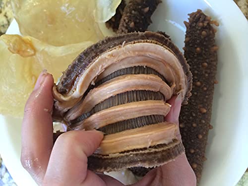 Dorothy27 Goldensea-Natural Sun Dried Wild Caught Alaska Red Sea Cucumber (Large Size)1Lb,金海堂-野生淡干海参,野生阿拉斯加红刺参 (特级)Grade Aaaa thumb #6