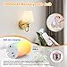 Battery Operated Wall Sconces set of Two,Wireless Wall Sconces with 10000mAh Dimmable Bulb and Remote,LED 15 Colors Rechargeable Gold Wall Sconce with Fabric for Bedroom Living Room Hallway Wall Decor