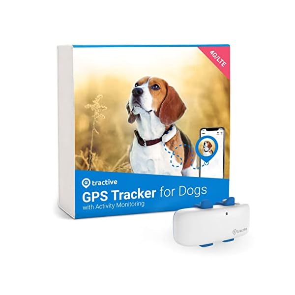 Tractive gps tracker for dogs - waterproof, gps location & smart pet activity tracker, unlimited range, works with any collar (white)