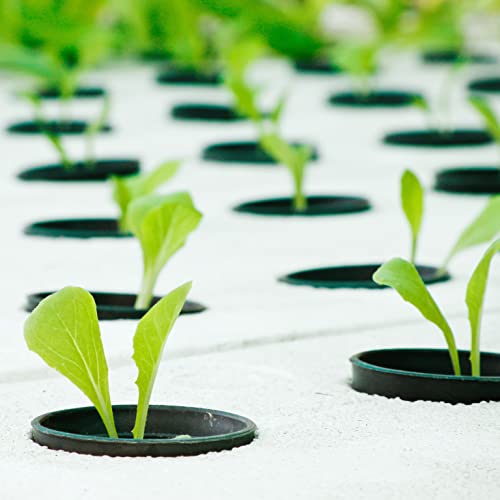 Silverlake Craft Foam Block - 14 Pack Of 11X17X0.5 Eps Polystyrene Sheets For Crafting, Modeling, Art Projects And Floral Arrangements - Sculpting Sheets For Diy School & Home Art (14 Pack) #TOP7