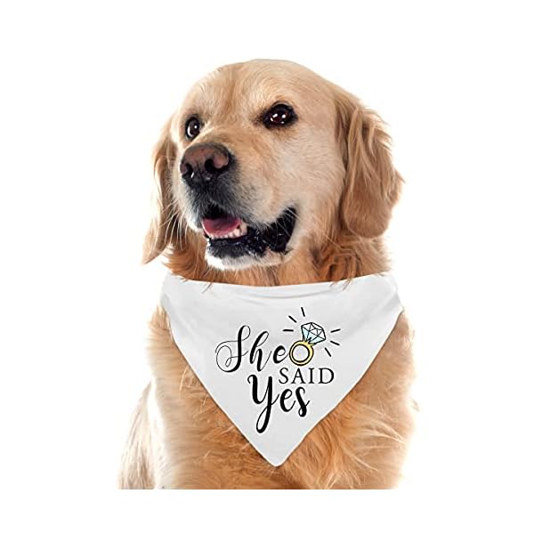 My humans are getting married she said yes dog bandana for wedding engagement photos, pet scarf accessories for dog lovers, bridal shower gift, pack of 2 - image 5