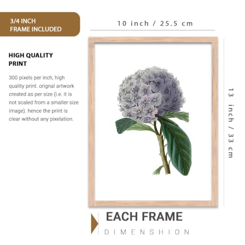 Image of kotart Floral Wall Art Home Decoration | Aesthetic Paintings With Frame For Living Room Bed Room Hotel Wall Decor Digital Reprint Set of 3 (10X13 inch)