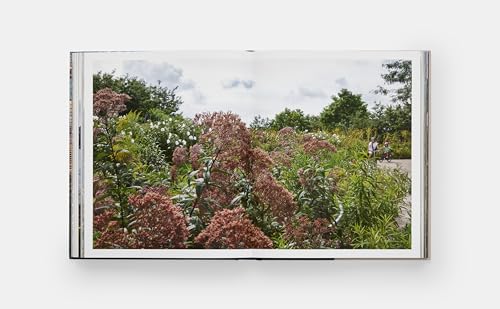 Brooklyn Bridge Park: Michael Van Valkenburgh Associates - Image 5