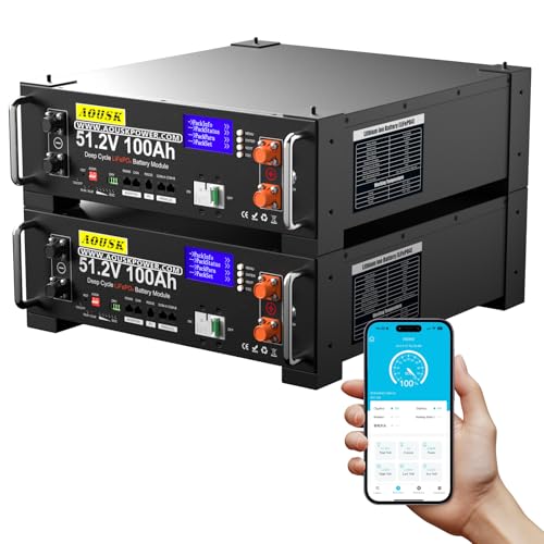 48V 200Ah Lithium LiFePO4 Solar Battery(2 Pack 48V 100AH), Support Inverter Communication, Built-in 100A BMS with Bluetooth,10.24kWh Capacity, 6000+ Cycles, Perfect for Off-Grid, Solar, Backup Power