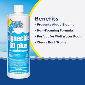 Intheswimalgaecide60plusforswimmingpoolsnonmetalliclowodornonfoamingalgaebloompreventativechlorinesanitizercompatible1gallon Urban Country Home Decor In the swim algaecide 60 plus for swimming pools non metallic low odor non foaming algae bloom preventative chlorine sanitizer compatible 1 gallon urban country home decor