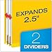 Pendaflex Classification Folders, 2 Dividers, 2