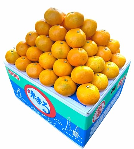 y܂݂  zxFPQxȏ {uhwQLx`̋Ïk ݂ S-LTCY n Iʍ ɂ ӂ邳ƍĐs Mtg N 茳ւ͂ i܂Eϔ)