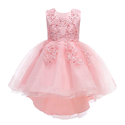 Weileenice Flower Girl Lace Bridesmaid Dress High-Low Embroidery Kids Wedding Party Birthday Tulle Dresses